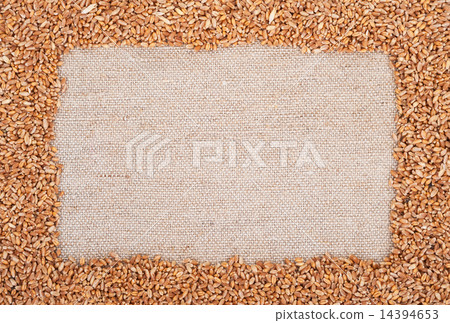 Frame of wheat on sacking Frame of wheat on sacking 14394653