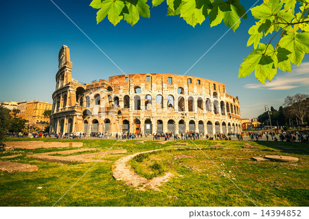 Colosseum in Rome 14394852