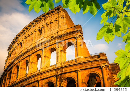 Colosseum at sunset 14394855