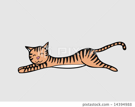Cat laying Cat laying 14394988