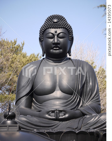 東京大佛 14395073