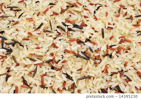 wild rice 14395230