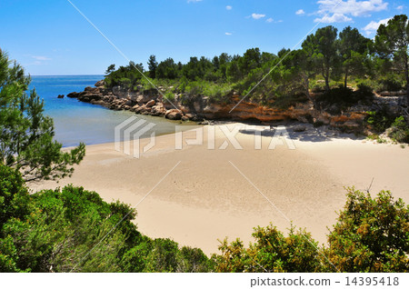 Cala Calafato beach in Ametlla de Mar, Spain 14395418