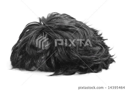 black hair wig black hair wig 14395464