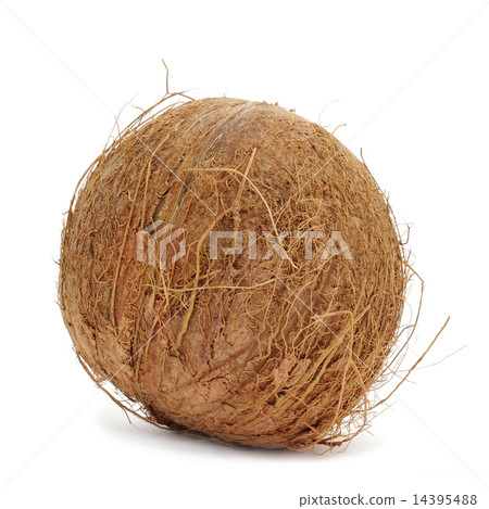 coconut coconut 14395488