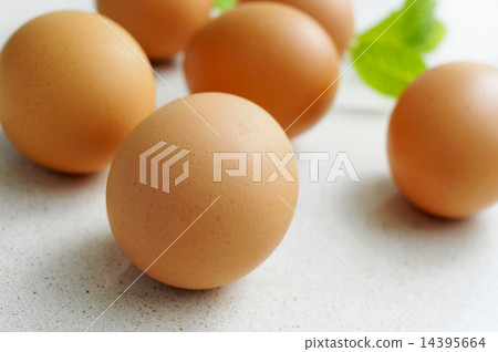 brown eggs on a kitchen countertop brown eggs on a kitchen countertop 14395664