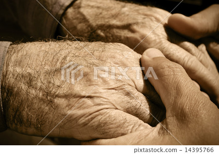 young man holding the hands of an old man 14395766