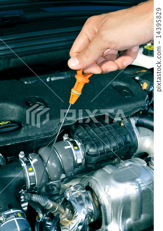 young man measuring the level of motor oil with a dipstick young man measuring the level of motor oil with a dipstick 14395829