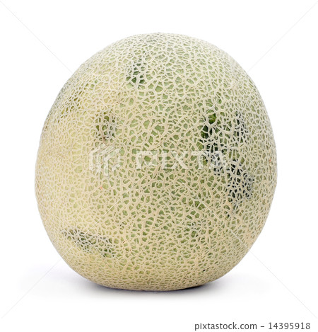 Persian melon Persian melon 14395918