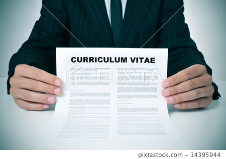 curriculum vitae 14395944