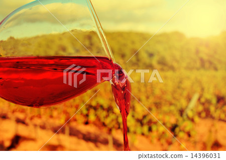 glass of red wine in a vineyard glass of red wine in a vineyard 14396031