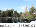 Kenrokuen in winter (Karasaki snow plow hanging) 14396101