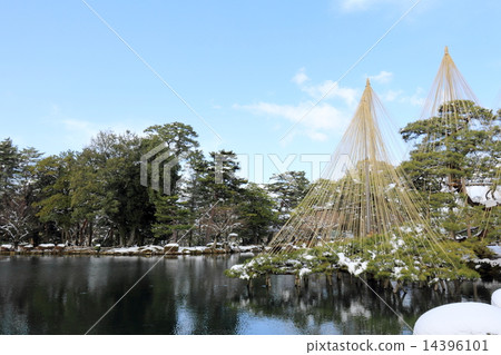 Kenrokuen在冬天（Karasaki雪犁掛） 14396101