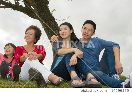 Three Generation 14396329