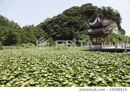 橫濱上海橫濱友誼公園Lake Tatei 橫濱上海橫濱友誼公園Lake Tatei 14396614