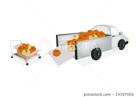 Hand Truck Loading Fresh Pumpkins into Truck 14397008