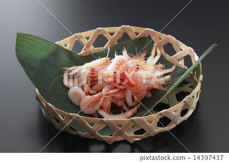 Sakuraba,油炸的陶器櫻桃樹 Sakuraba,油炸的陶器櫻桃樹 14397437