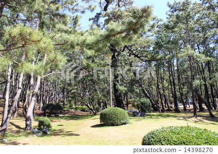 In the Senbon Hama Park In the Senbon Hama Park 14398270