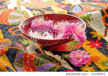 杯子李子花 杯子李子花 14398461