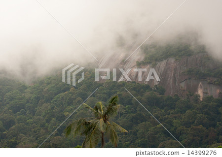 Mountin in morning fog.Tioman island on Malaysia Mountin in morning fog.Tioman island on Malaysia 14399276