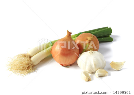 Onions 14399561