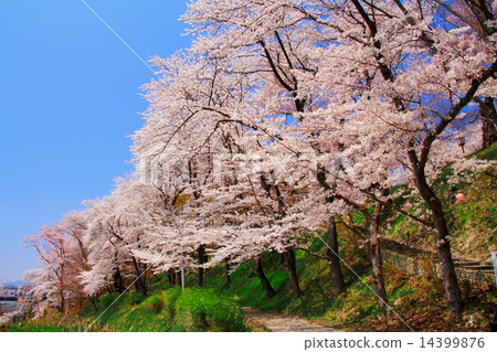 Wushuzan Park 14399876