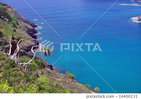 Nakayama Pass（Chichijima）的風景 14400131