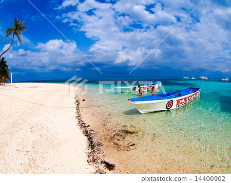 在熱帶國家度假 14400902