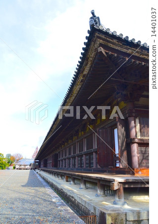 Sanjusangen-do（Renka Owon）的“Hondo”（京都市東山區Sanjusangendo Rikocho） 14401037