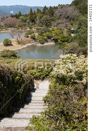 Shogakuin皇宮皇宮龍捲風池塘 14402151