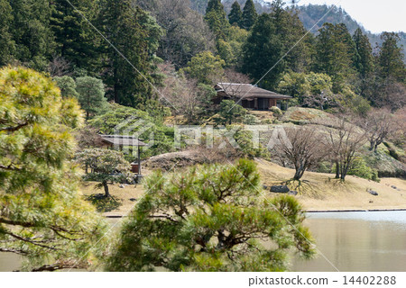 Shogakuin Umi Nobu Ukinawa bathing stool of a pearl of a pine tree Shogakuin Umi Nobu Ukinawa bathing stool of a pearl of a pine tree 14402288