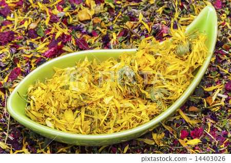Dry calendula in bowl with dry herbal tea around  14403026