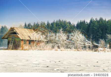 Old house with fallen tree  14403028