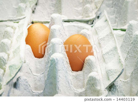 Two brown eggs in empty carton package Two brown eggs in empty carton package 14403119