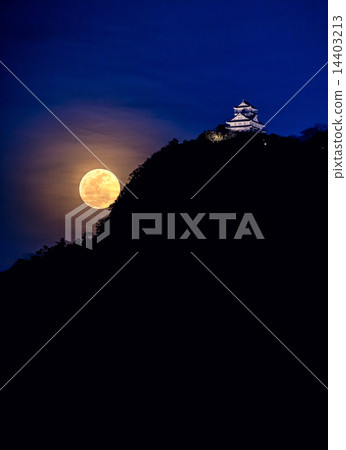 Full Moon and Gifu Castle Full Moon and Gifu Castle 14403213