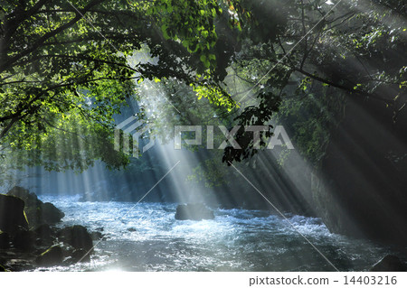 美麗的閃光 14403216