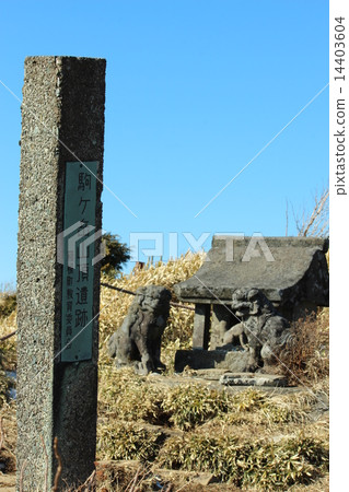 Komagatake 14403604