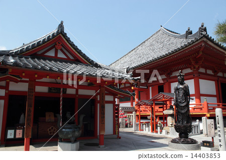 京都六波羅光寺 14403853