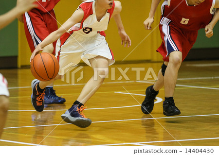 Basketball 14404430