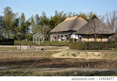 Old private house and field 14404677
