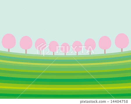 Spring landscape tree flower Spring landscape tree flower 14404758