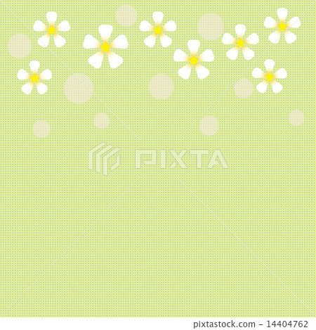 Flowers Flowers 14404762