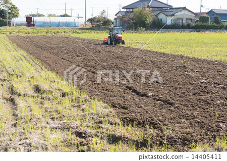 cultivation, farming, agrarian 14405411