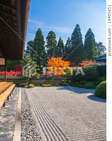 Hodogate garden of autumn temple and autumn leaves 14405451