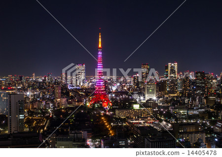 東京塔鑽石面紗情人節版 14405478