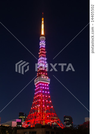 Tokyo Tower Diamond Veil Valentine's ver 14405502