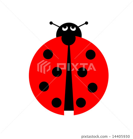 Ladybug 14405930