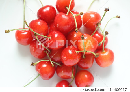 Cherry Cherry 14406017