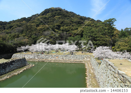 Hagiro Ru Spring Spring Hagiro Ru Spring Spring 14406153