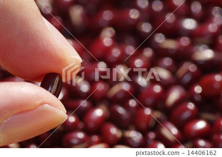 捏一個豆瓣醬 14406162